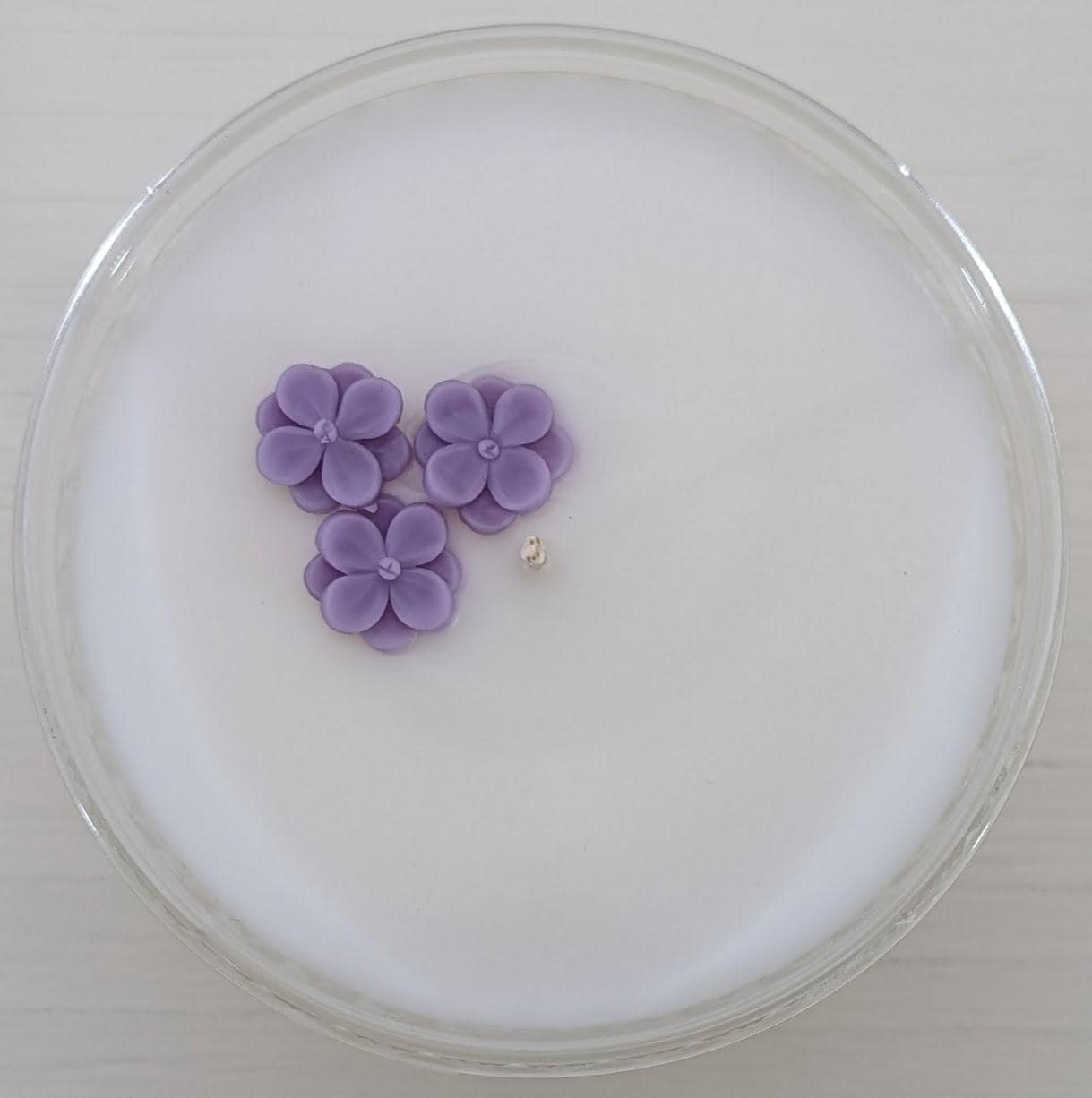 Lilac Soy Candle in Vintage Sherbet Cup – 6 oz | Hand-Poured Coco-Soy Wax | Phthalate-Free | New Hampshire Springtime Scent