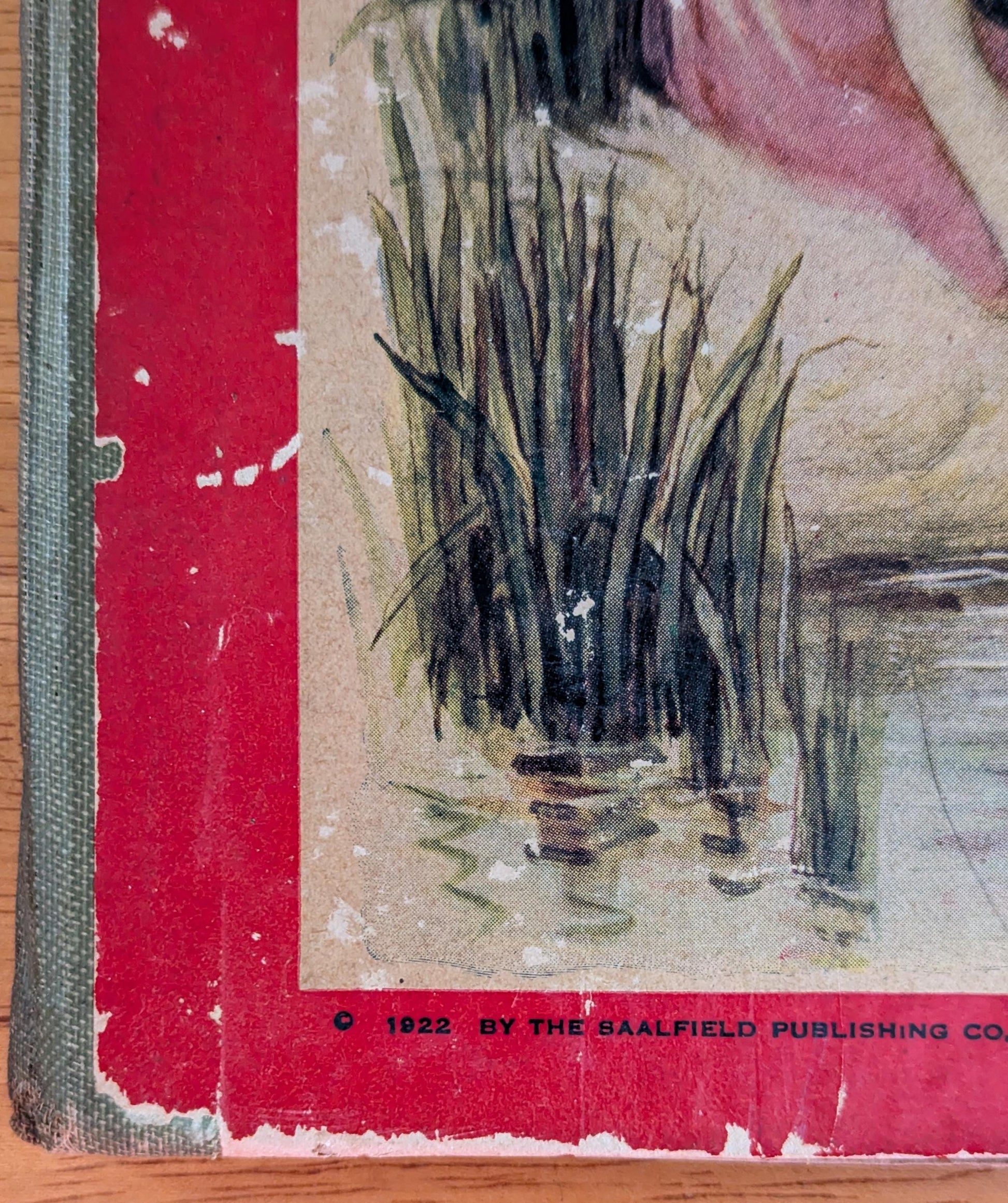 1922 Andersen's Fairy Tales | Antique Illustrated Storybook, Saalfield Edition