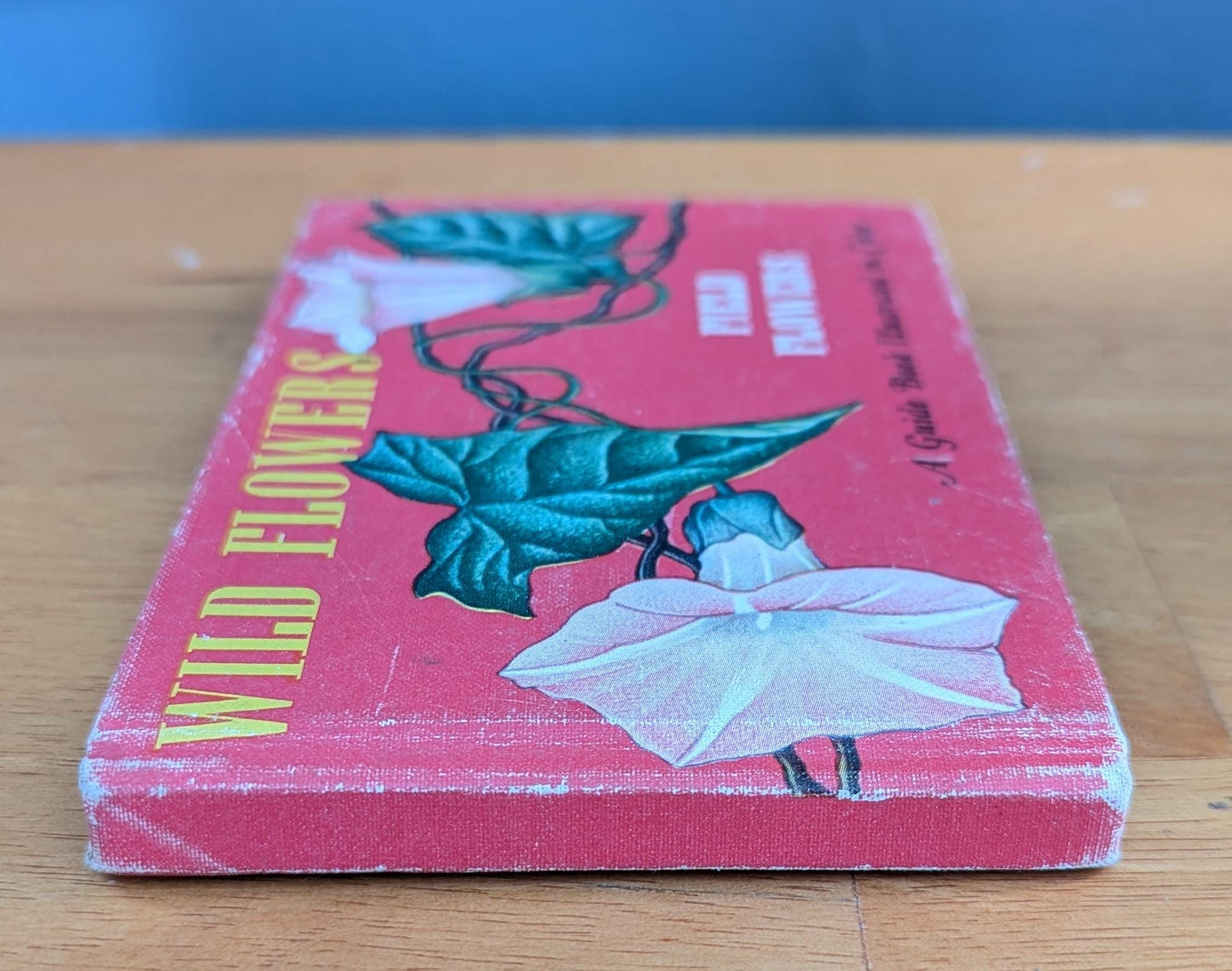 1945 Vintage Wildflower Guide Book | Illustrated Botanical Decor