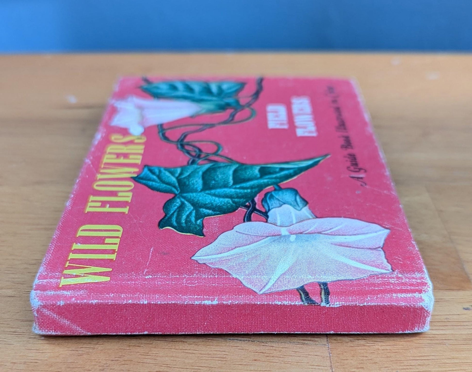 1945 Vintage Wildflower Guide Book | Illustrated Botanical Decor