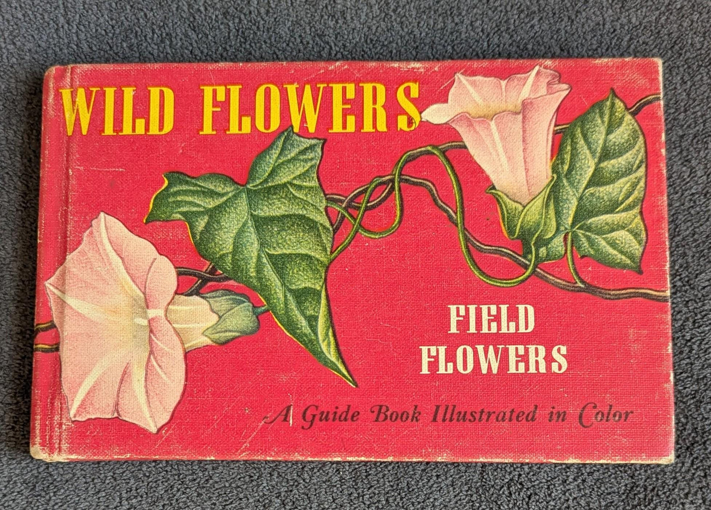 1945 Vintage Wildflower Guide Book | Illustrated Botanical Decor