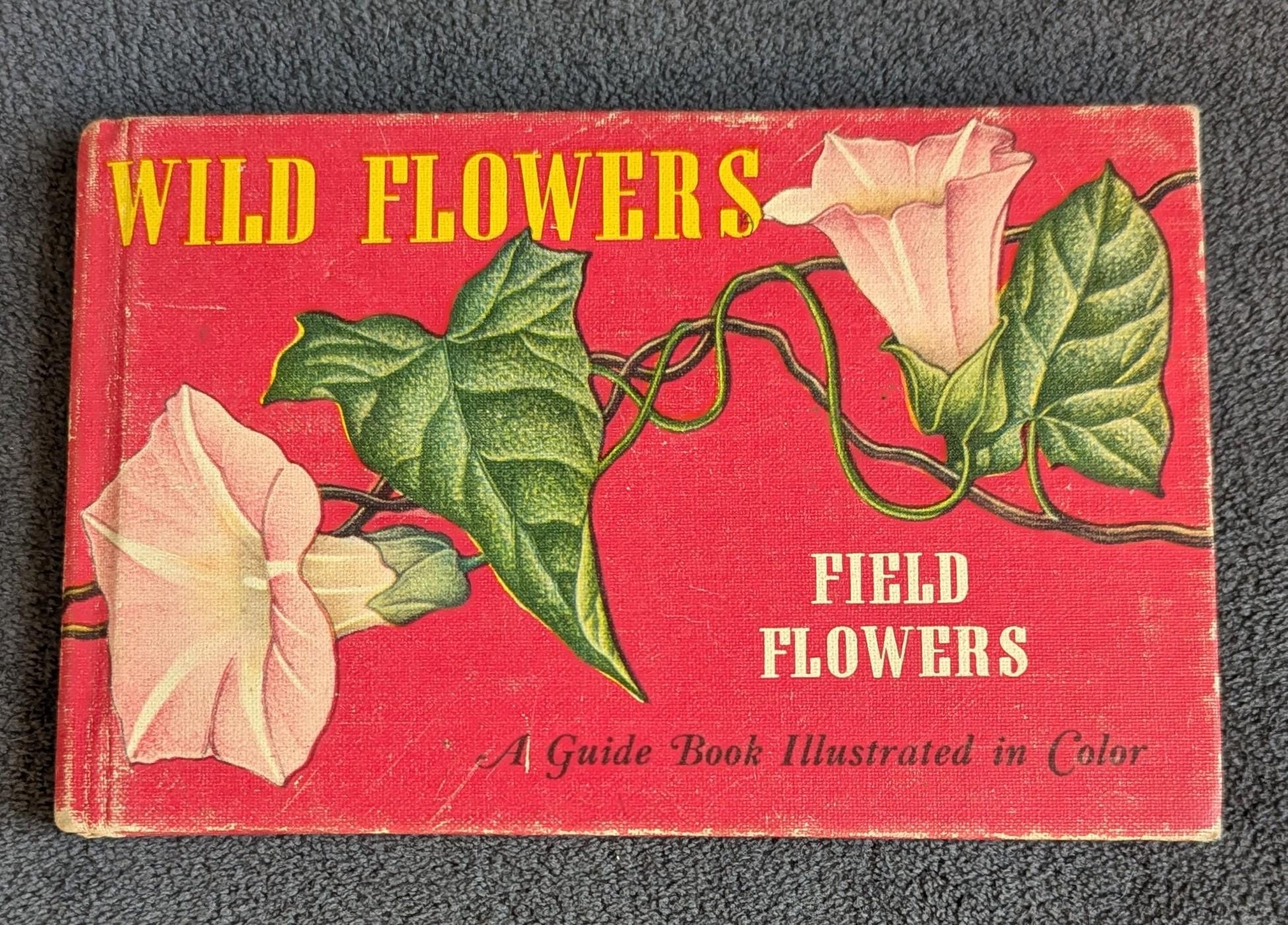 1945 Vintage Wildflower Guide Book | Illustrated Botanical Decor