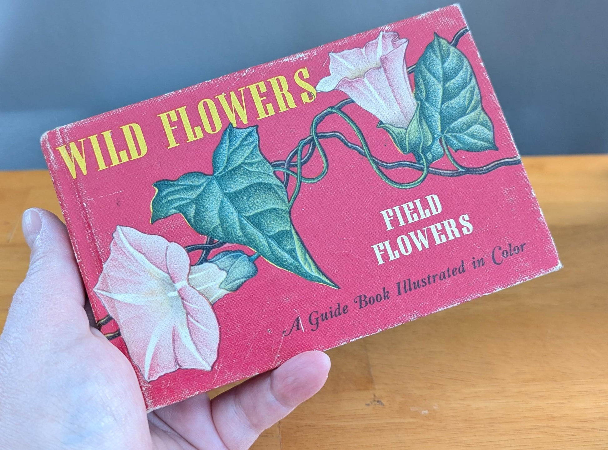 1945 Vintage Wildflower Guide Book | Illustrated Botanical Decor