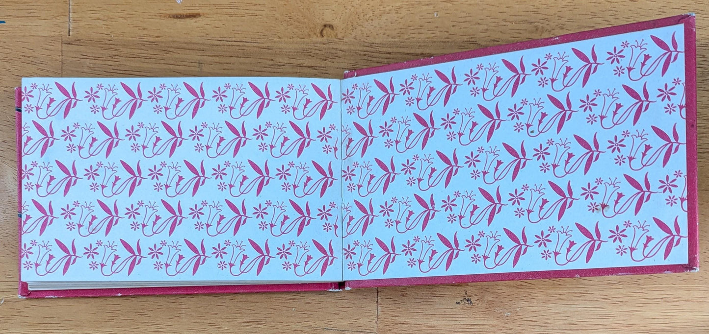 1945 Vintage Wildflower Guide Book | Illustrated Botanical Decor
