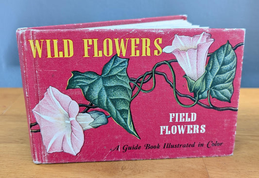 1945 Vintage Wildflower Guide Book | Illustrated Botanical Decor