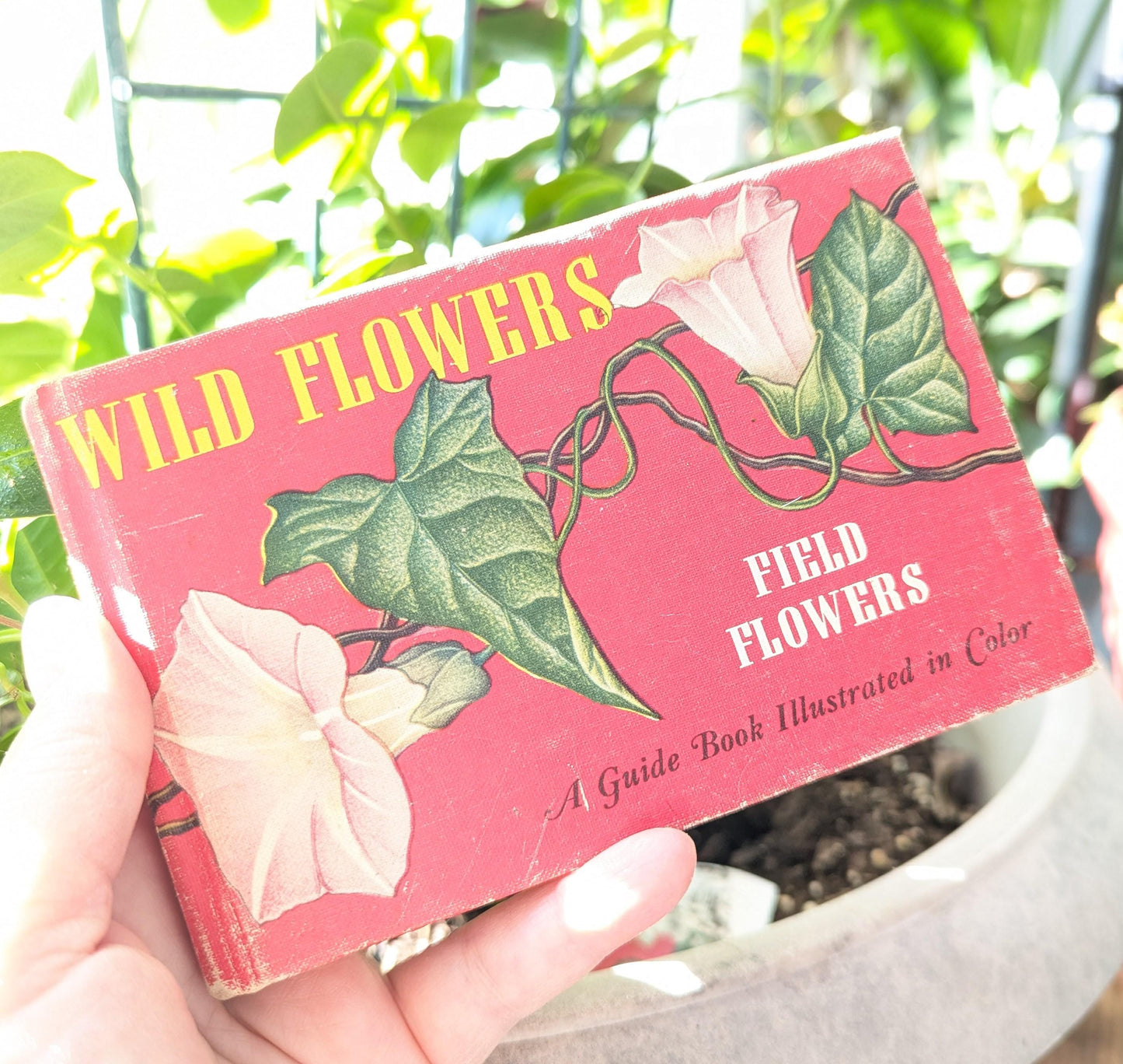 1945 Vintage Wildflower Guide Book | Illustrated Botanical Decor