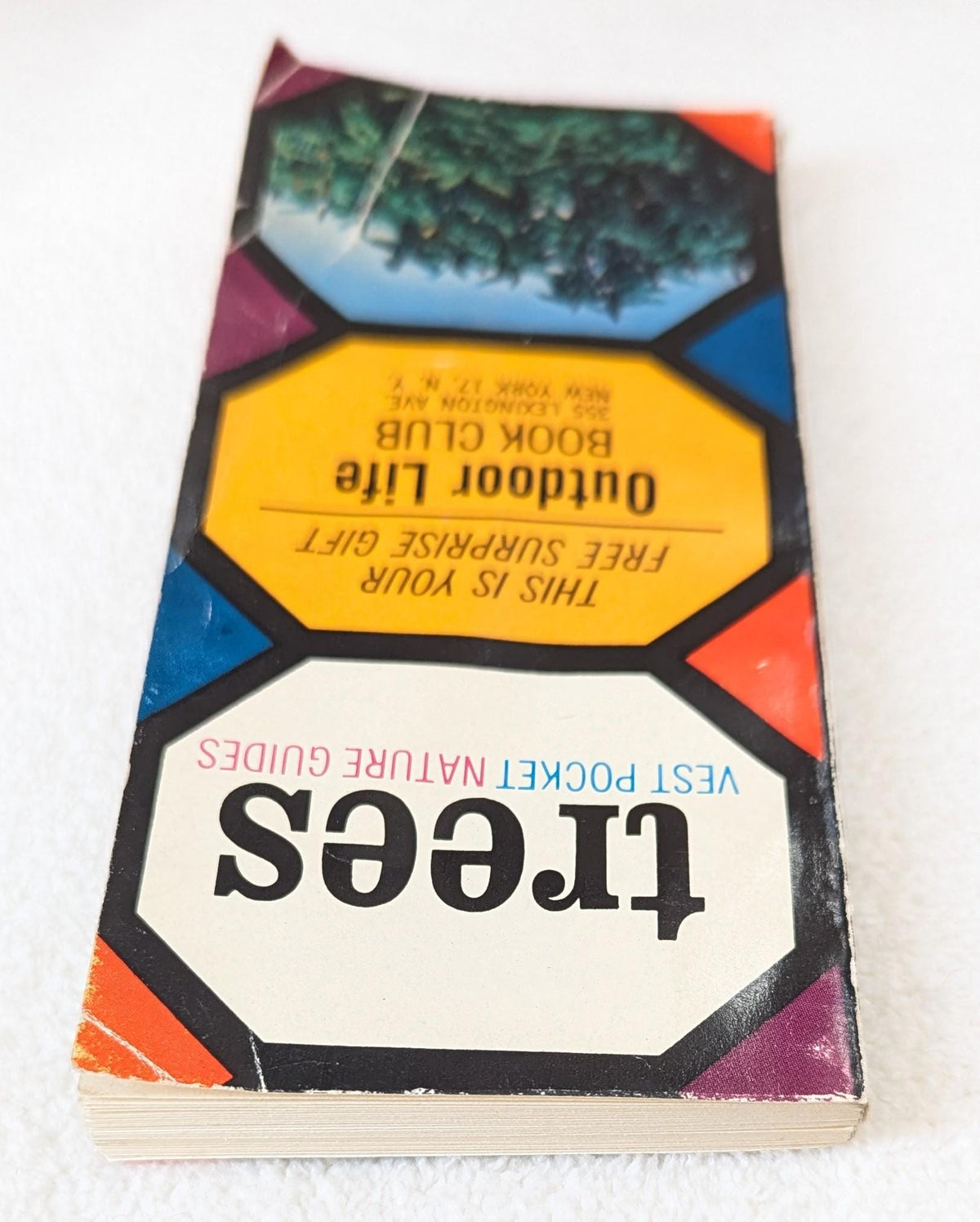 Vintage 1963 Pocket Tree Guide Book | Outdoor Life Book Club Nature Ephemera
