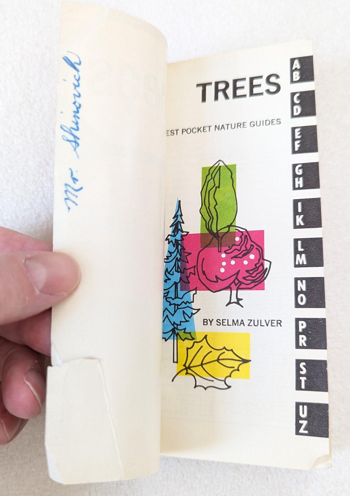 Vintage 1963 Pocket Tree Guide Book | Outdoor Life Book Club Nature Ephemera
