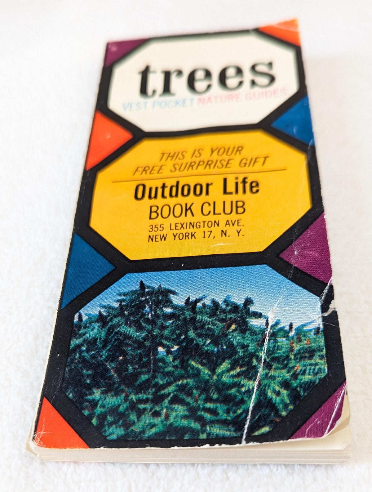 Vintage 1963 Pocket Tree Guide Book | Outdoor Life Book Club Nature Ephemera