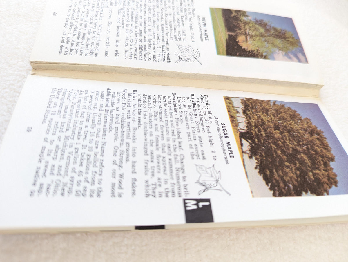 Vintage 1963 Pocket Tree Guide Book | Outdoor Life Book Club Nature Ephemera