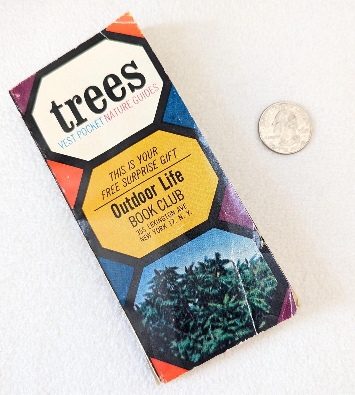 Vintage 1963 Pocket Tree Guide Book | Outdoor Life Book Club Nature Ephemera