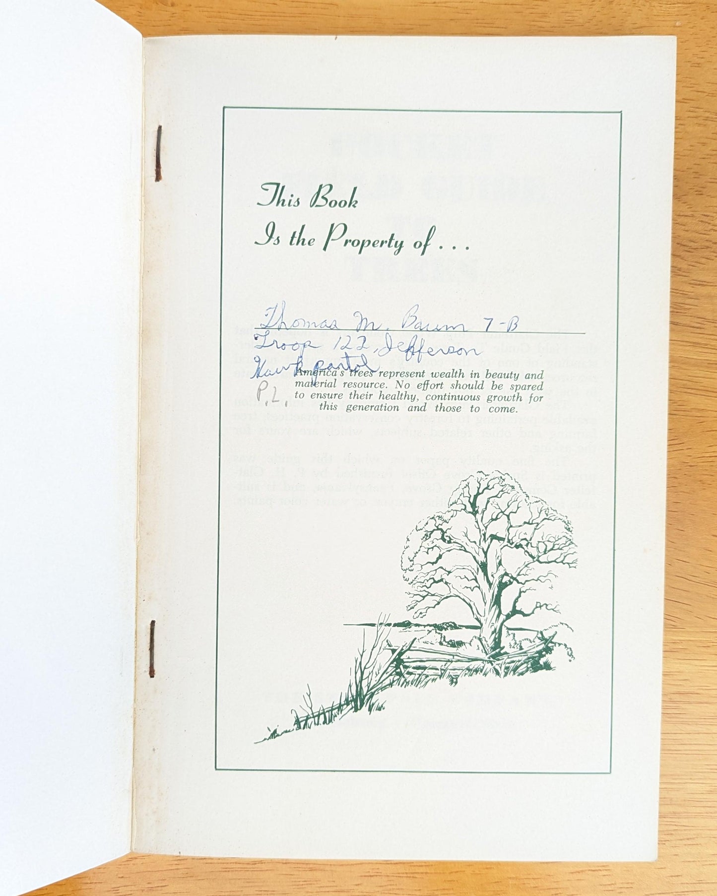 1958 Pocket Field Guide to Trees | Mid-Century Nature Book