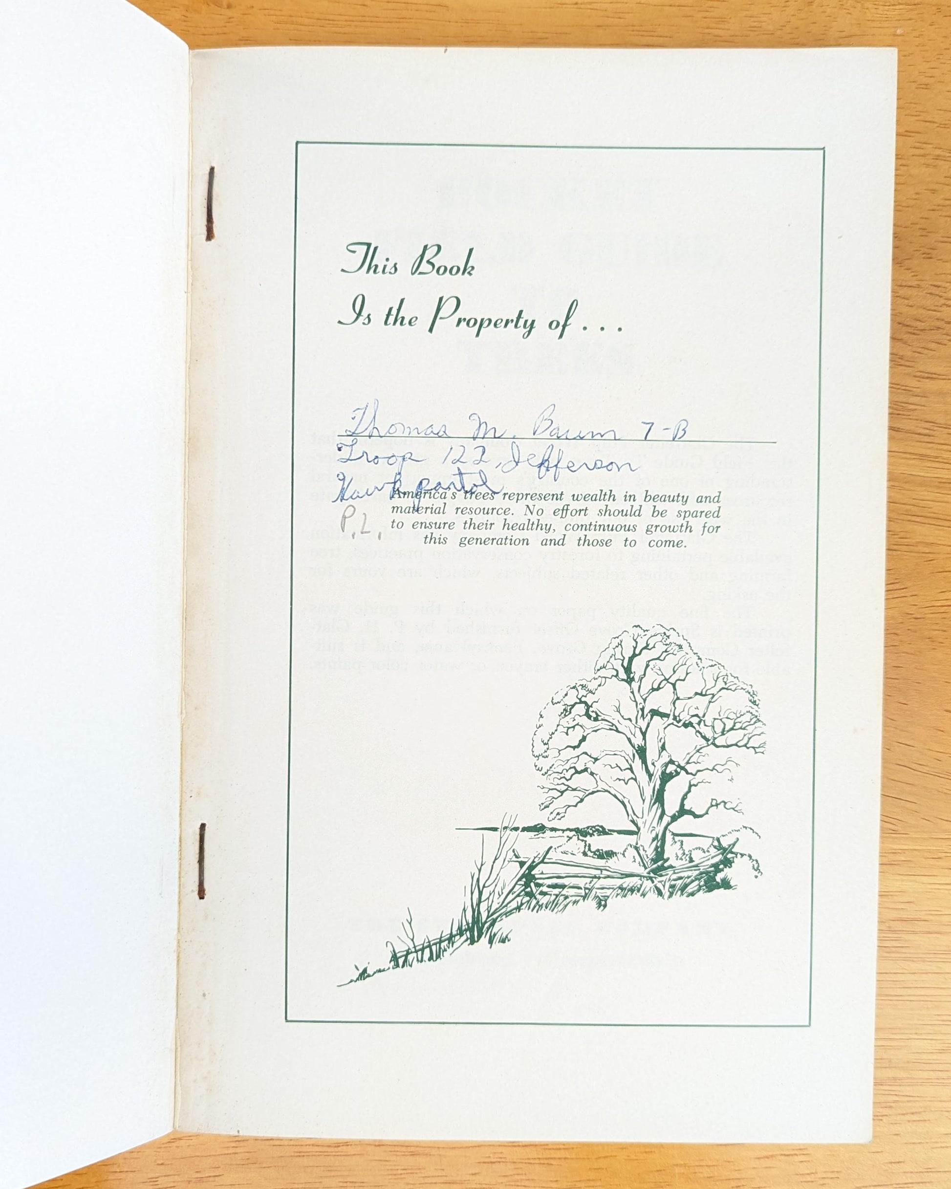 1958 Pocket Field Guide to Trees | Mid-Century Nature Book
