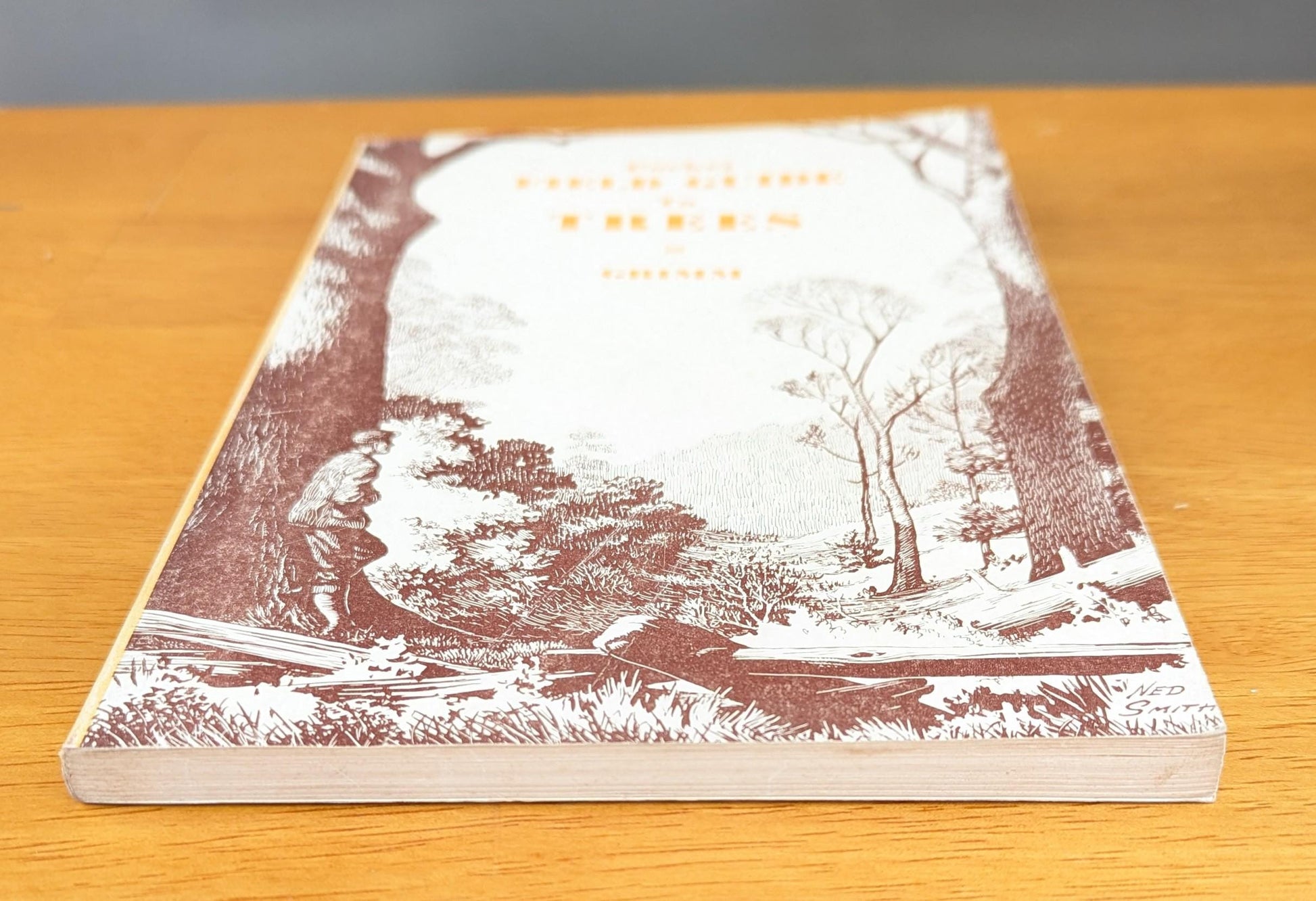 1958 Pocket Field Guide to Trees | Mid-Century Nature Book