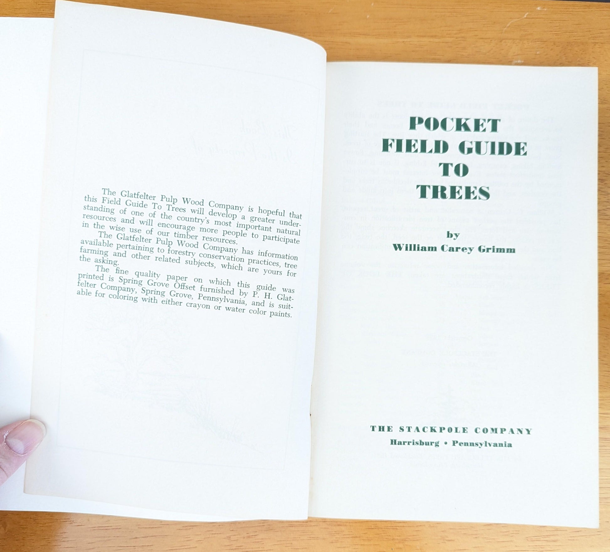 1958 Pocket Field Guide to Trees | Mid-Century Nature Book