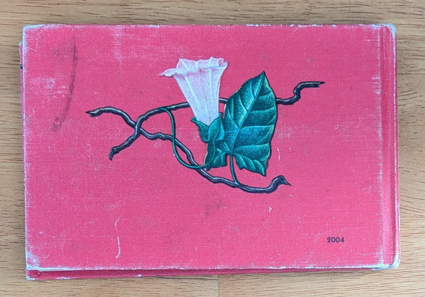 1945 Vintage Wildflower Guide Book | Illustrated Botanical Decor