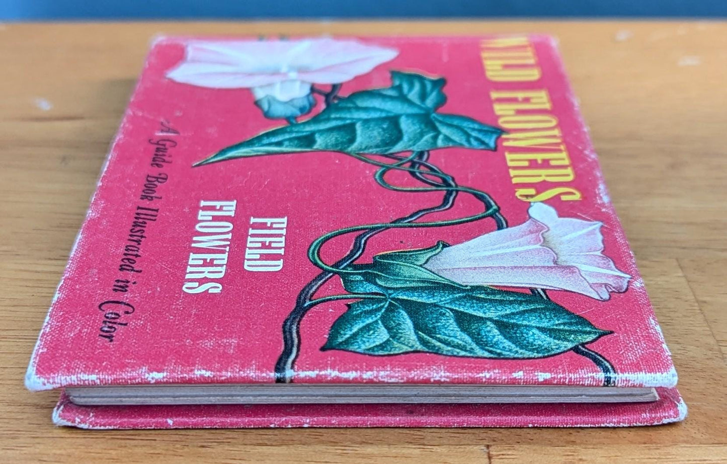 1945 Vintage Wildflower Guide Book | Illustrated Botanical Decor