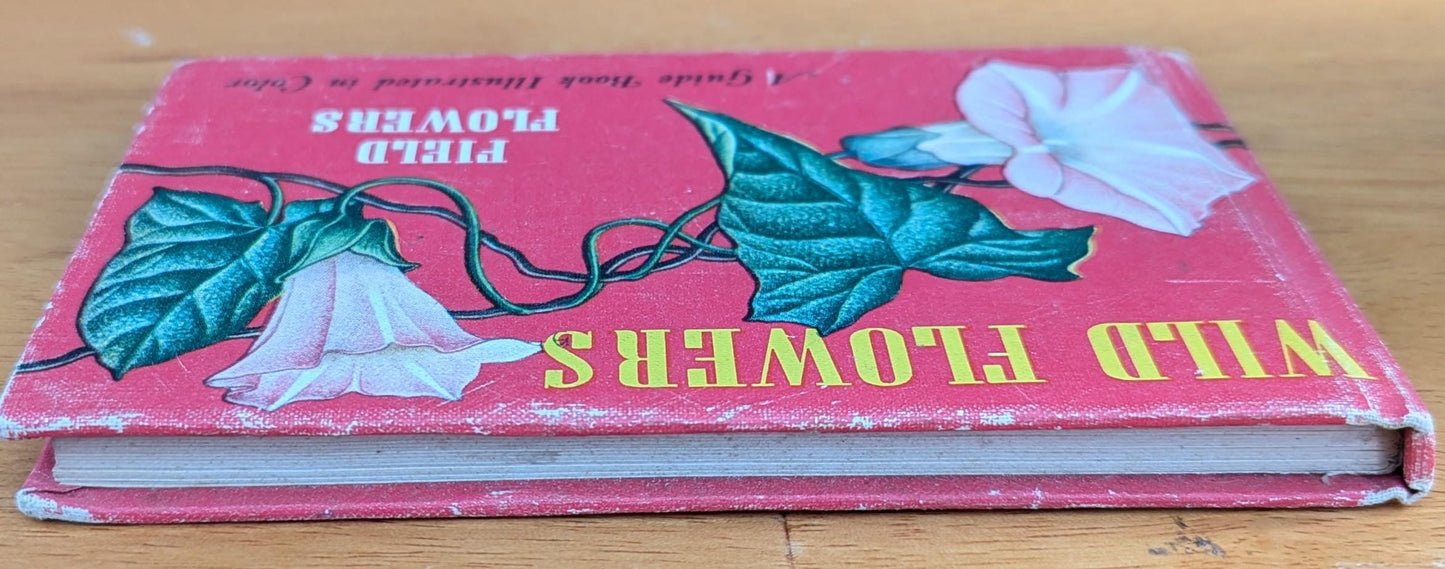1945 Vintage Wildflower Guide Book | Illustrated Botanical Decor