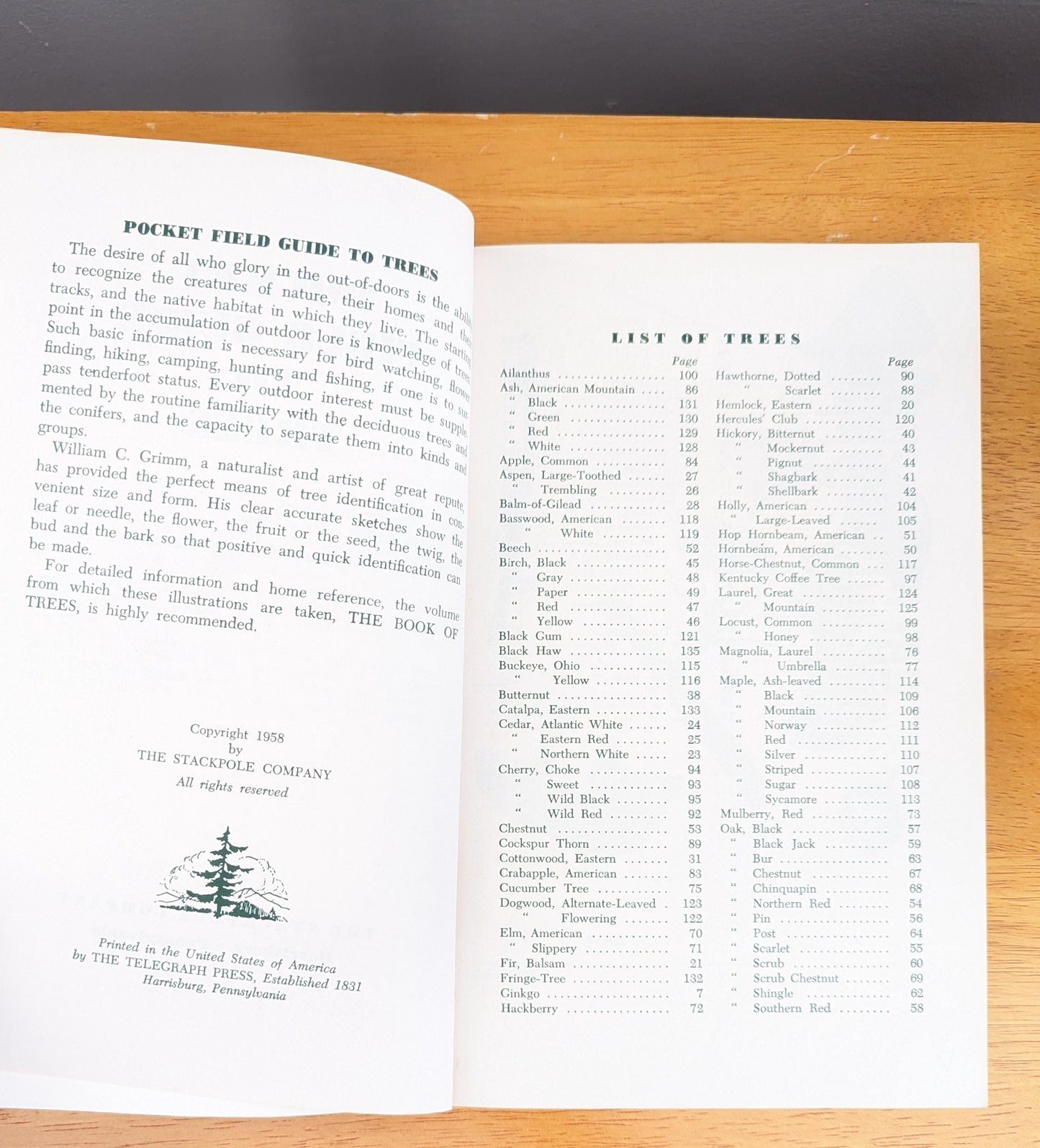 1958 Pocket Field Guide to Trees | Mid-Century Nature Book