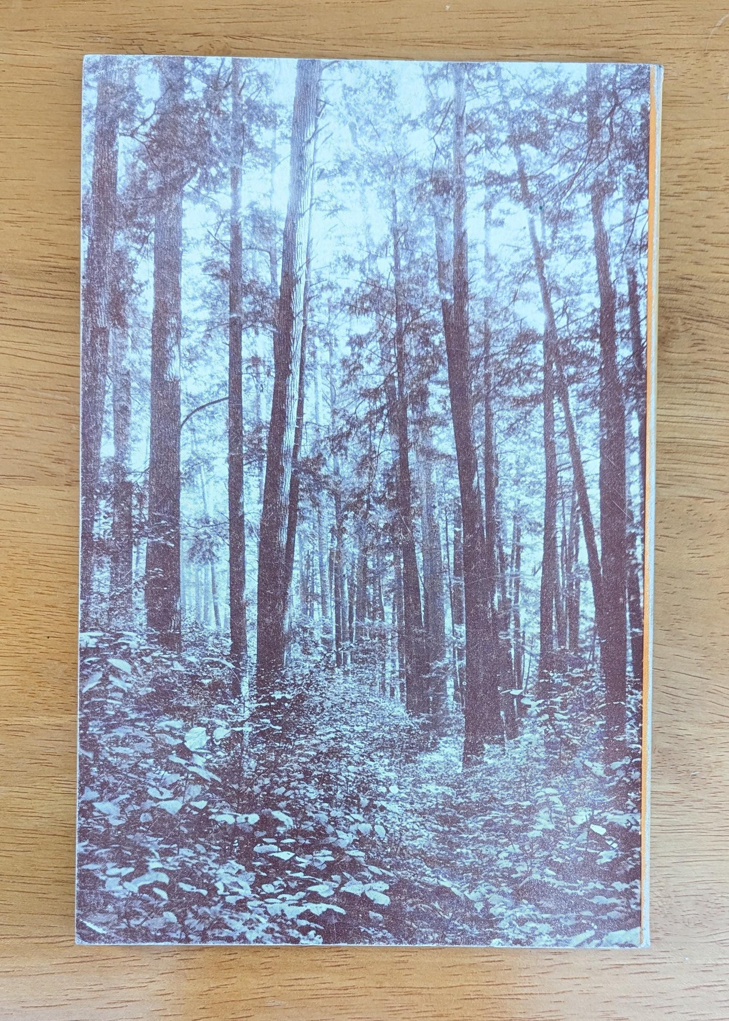 1958 Pocket Field Guide to Trees | Mid-Century Nature Book